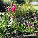 Veluwemeerpension Bed & Breakfast *