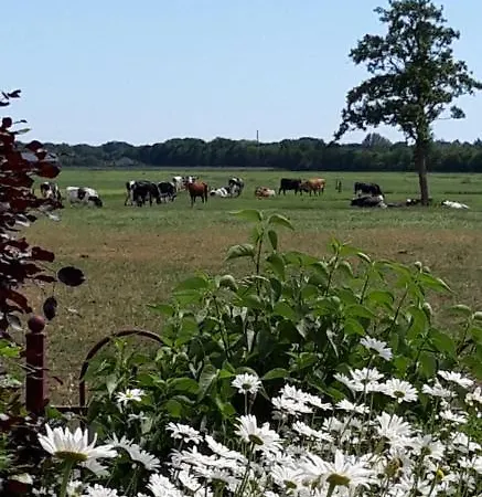 Bed & Breakfast Veluwemeerpension Nunspeet