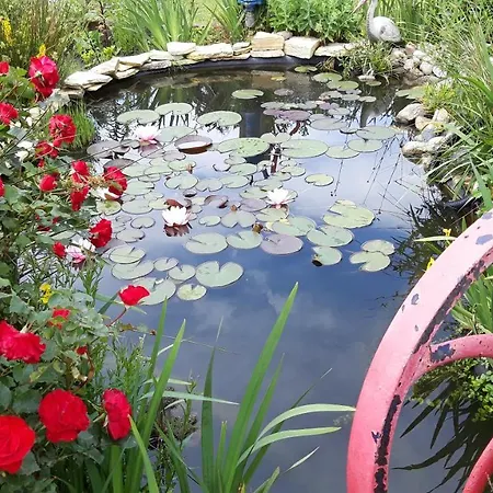 Veluwemeerpension Bed & Breakfast