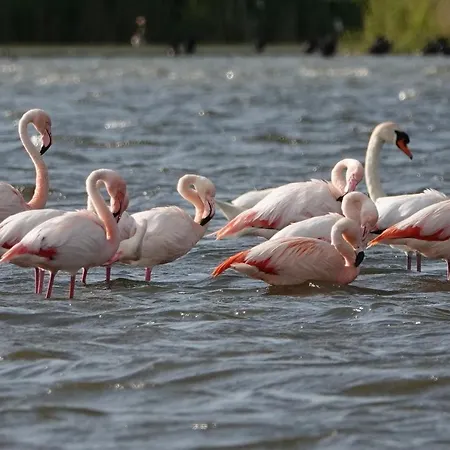Veluwemeerpension Panzió *