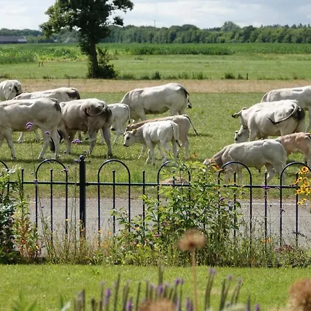 Bed & Breakfast Veluwemeerpension