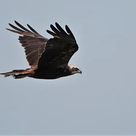 Veluwemeerpension * Nunspeet