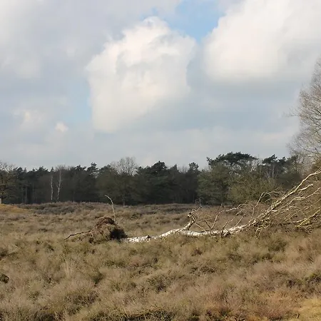 Panzió Veluwemeerpension