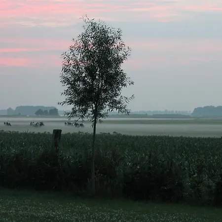Veluwemeerpension Bed & Breakfast *