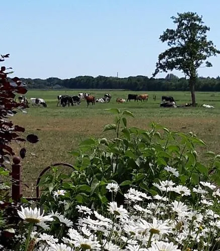 Bed and breakfast Veluwemeerpension Nunspeet