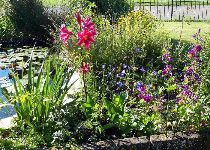 Veluwemeerpension Bed & Breakfast *