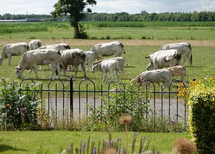 Bed and breakfast Veluwemeerpension