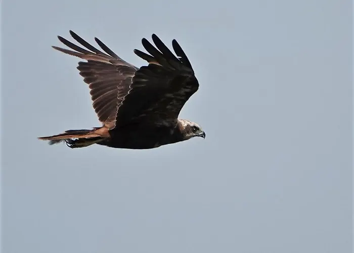 Veluwemeerpension * Nunspeet
