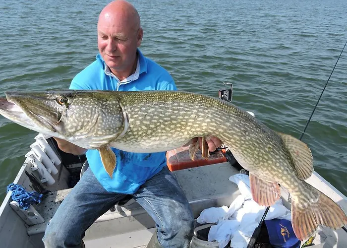 Veluwemeerpension Отель типа 