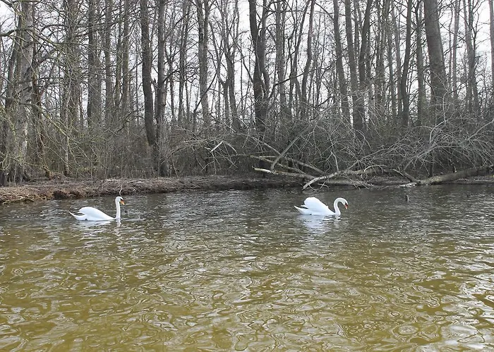 Veluwemeerpension * Nunspeet