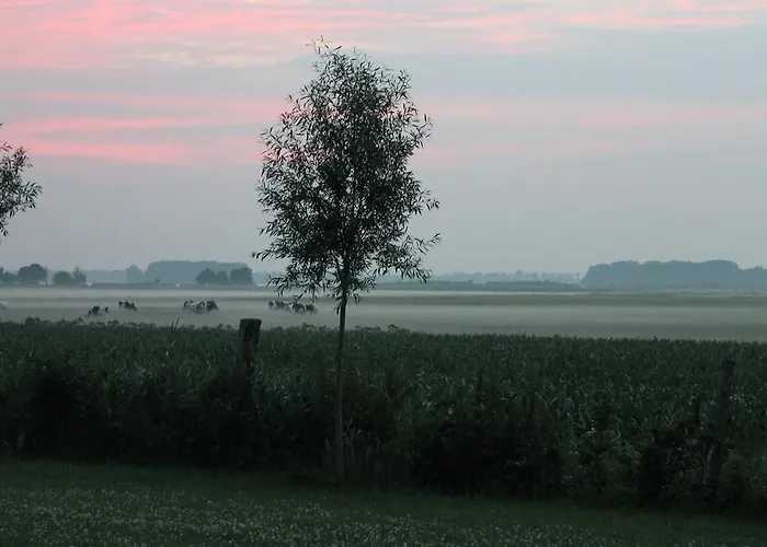 Veluwemeerpension Bed & Breakfast *